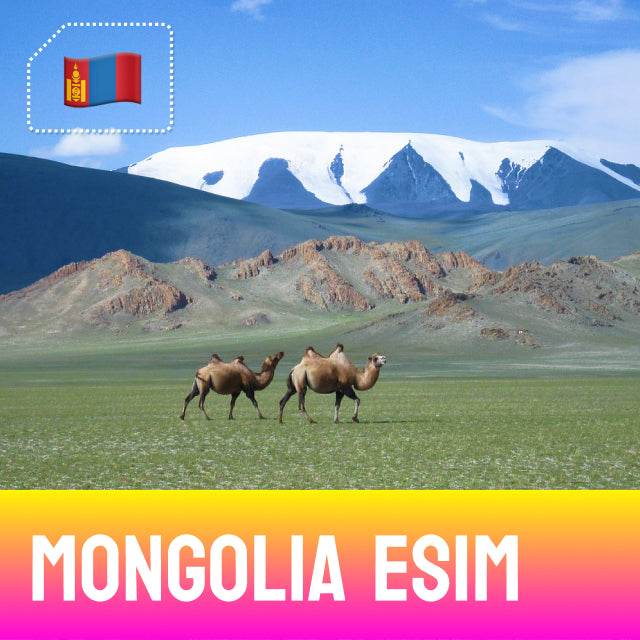Mongolia eSIM