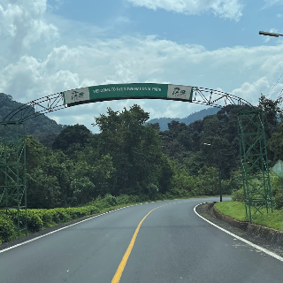 WELCOME TO NYUNGWE NATIONAL PARK
