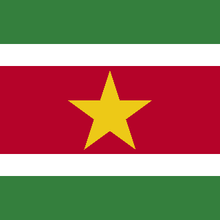 Suriname Flag