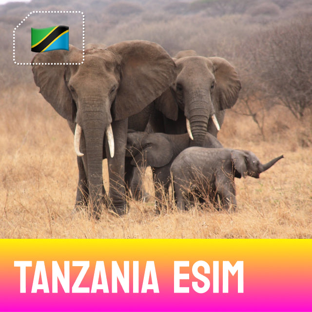 Tanzania eSim