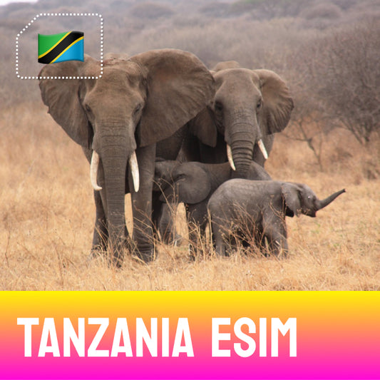 Tanzania eSim