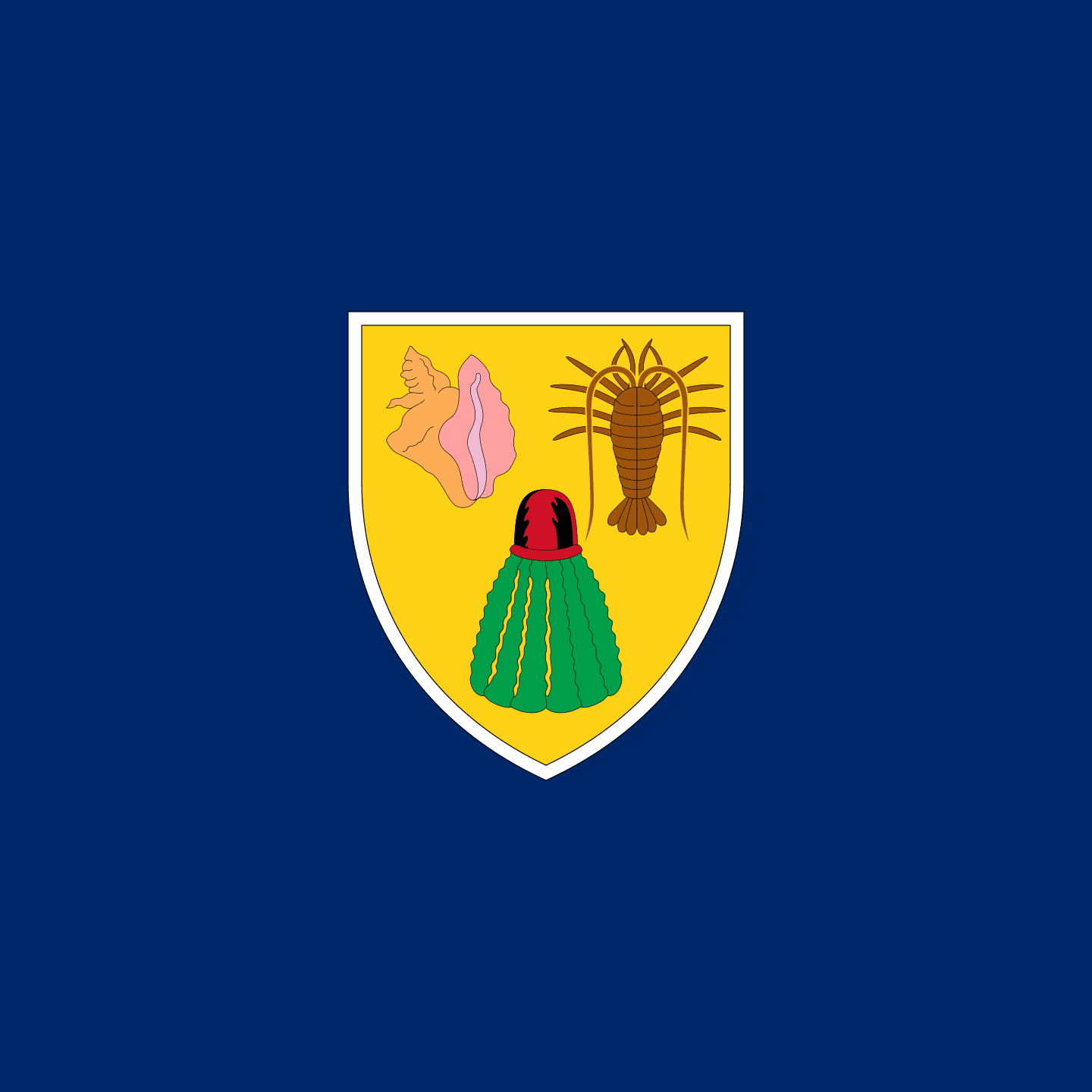 Turks and Caicos Islands Flag