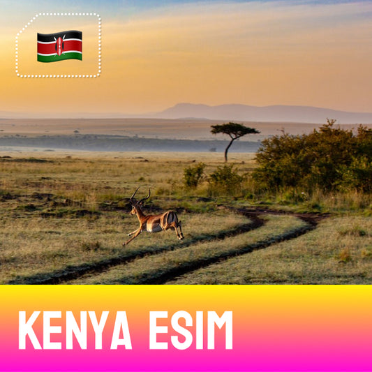 Antelope + Sunset - Kenya eSIM