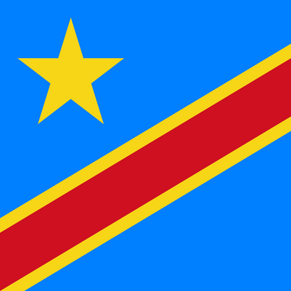 Democratic Republic of the Congo Flag