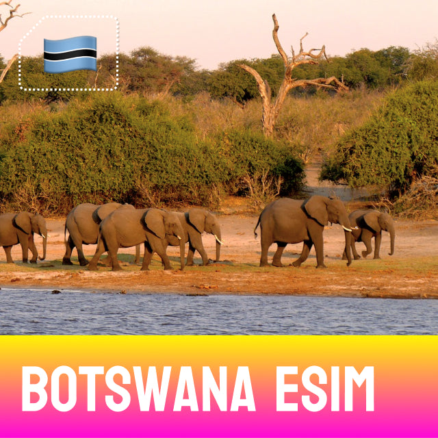 Elephant herd - Botswana eSIM