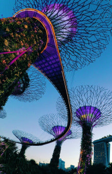 Gardens by the Bay, Singapore
