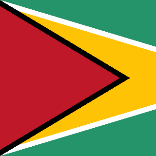 Guyana Flag