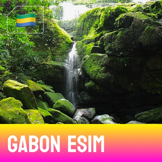 Ivindo National Park - Gabon eSIM