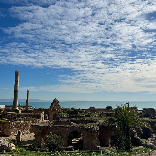 Ruins of Ancient Carthage