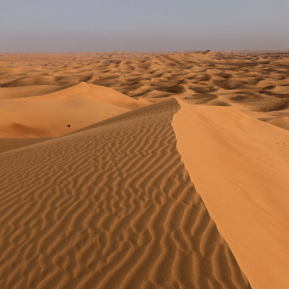 Sand Dunes of UAE