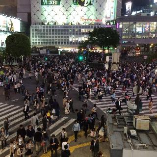 Shibuya crossing - Tokyo, Japan