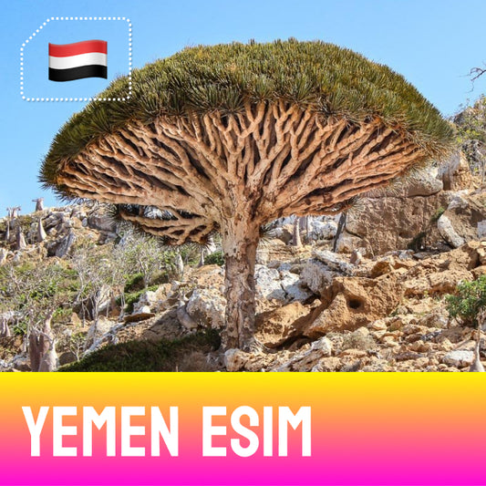Socotra dragon tree - Yemen eSIM