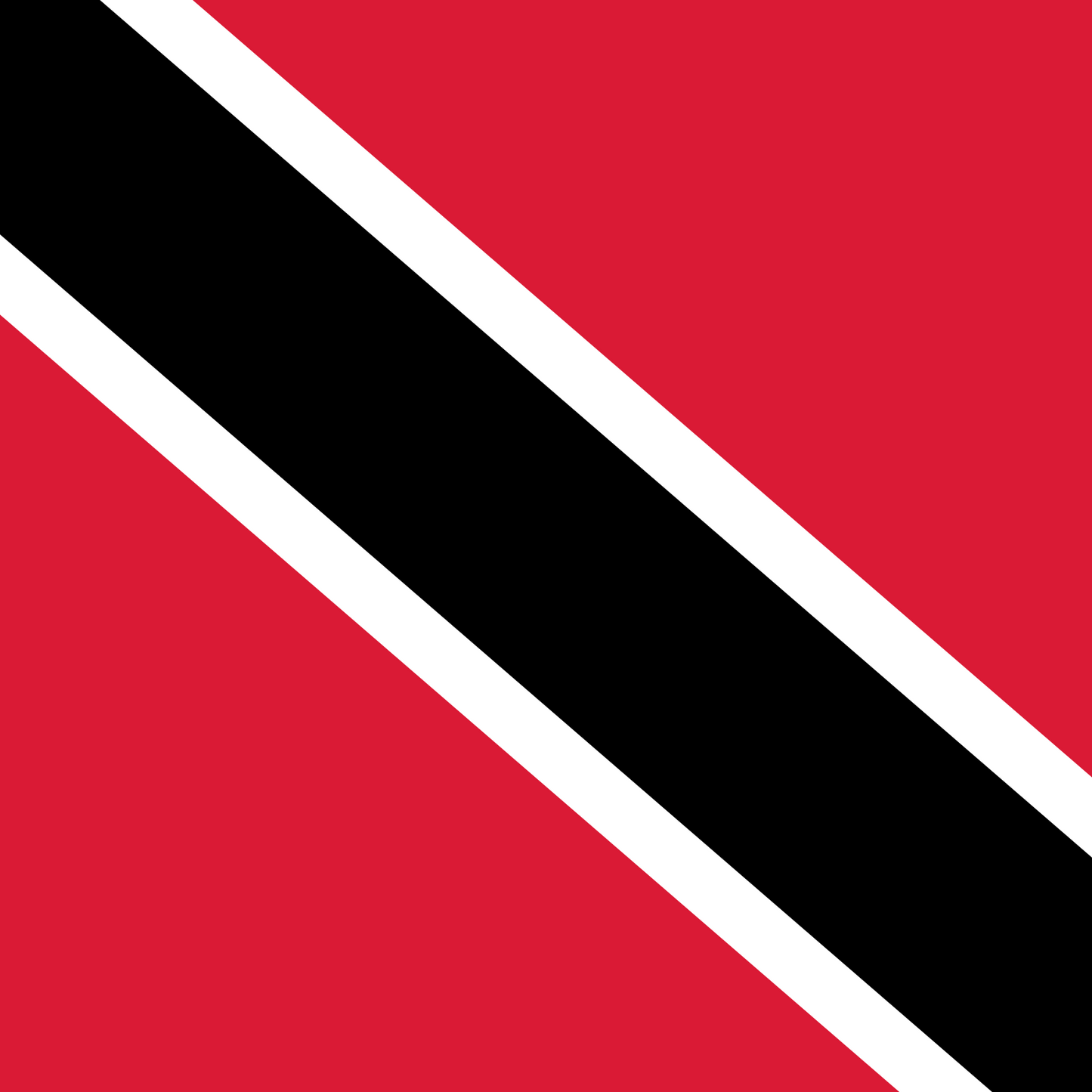 Trinidad and Tobago Flag