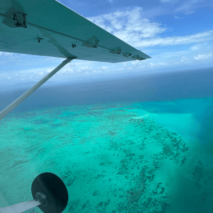 Viewing the reef from a prop plane