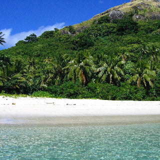 Tropical beach with white sand, clear blue water, and lush greenery on a hillside.