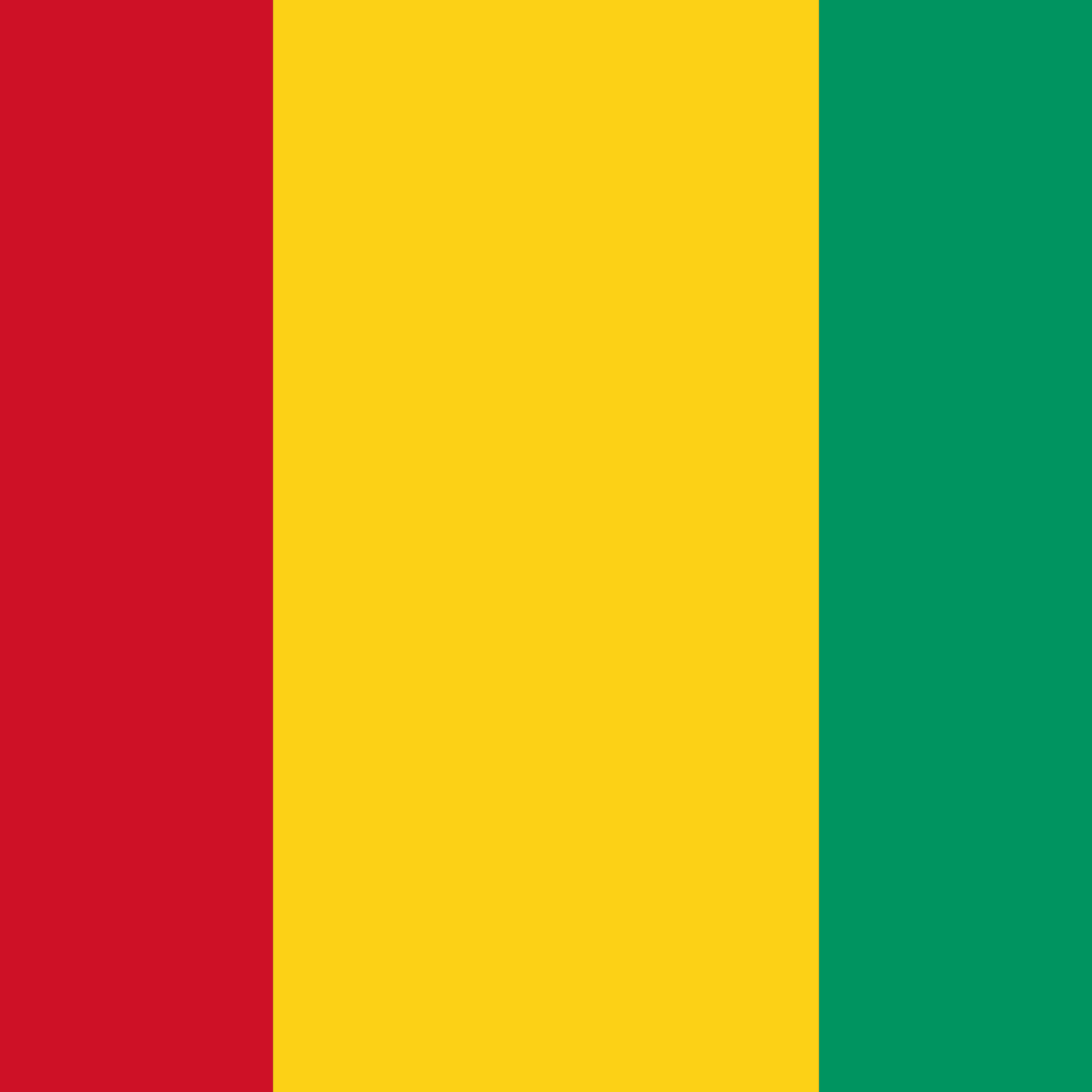 Guinea eSIM – flag of Guinea