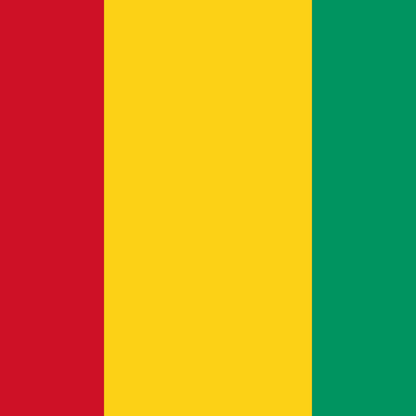 Guinea eSIM – flag of Guinea