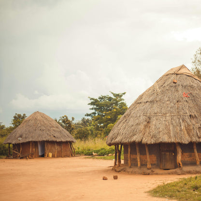 Tribal Huts in Uganda