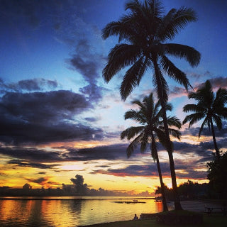 Sunset over a beach with palm trees and people sitting on the sand.